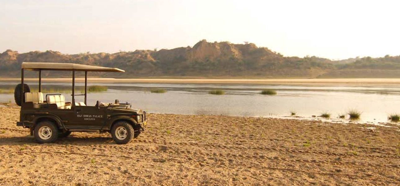 Golden Triangle and Chambal Safari Tour